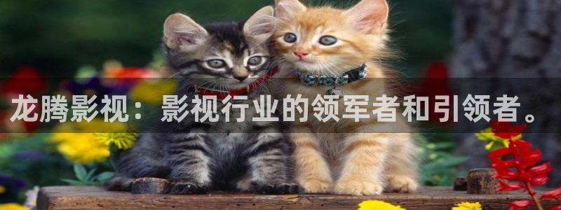 久久亚洲精品视频网站上